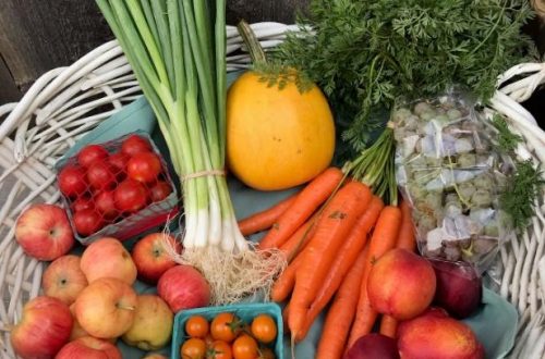 Basket of fruit and vegetables
