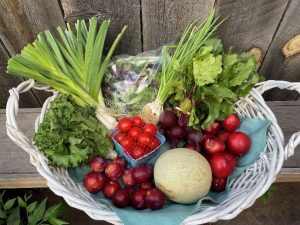 Basket of vegetables and fruits